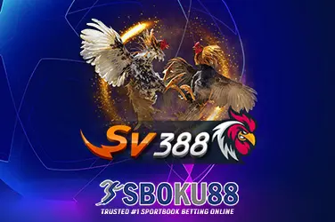 Sboku88score